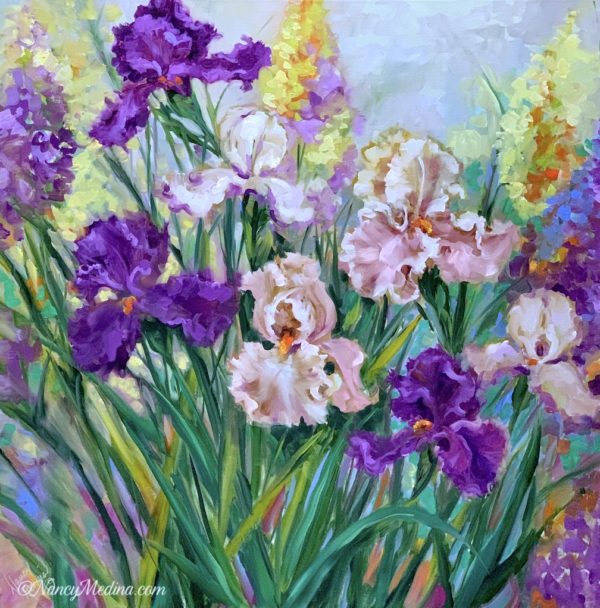 Early Spring Iris Garden