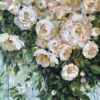 Blooming Joy Roses 40X30