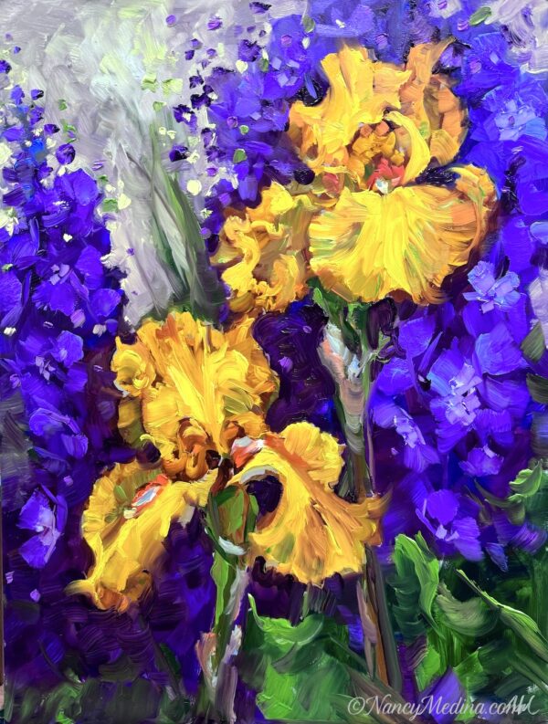Wishful Thinking yellow irises 16X12