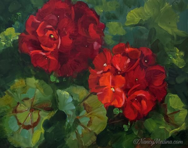 Reverie Red Geraniums 10X8