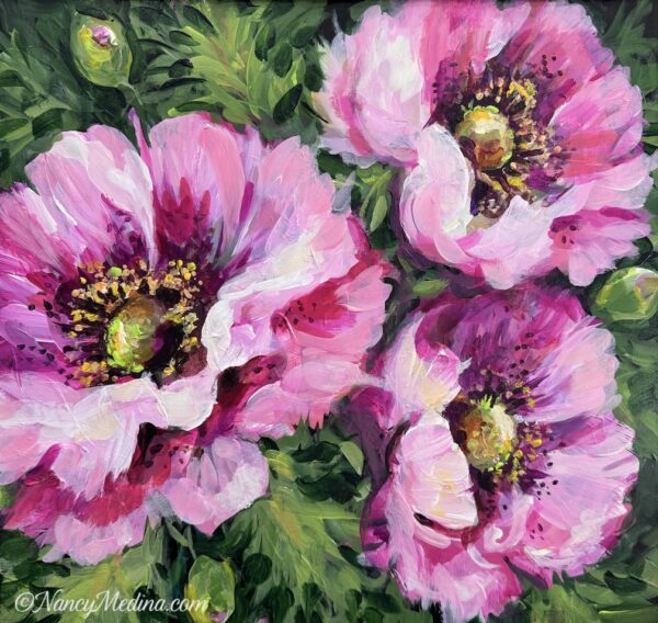 Pink Sisters Poppy Garden, 16X16