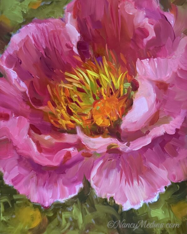 Pink Bloomers 10X8