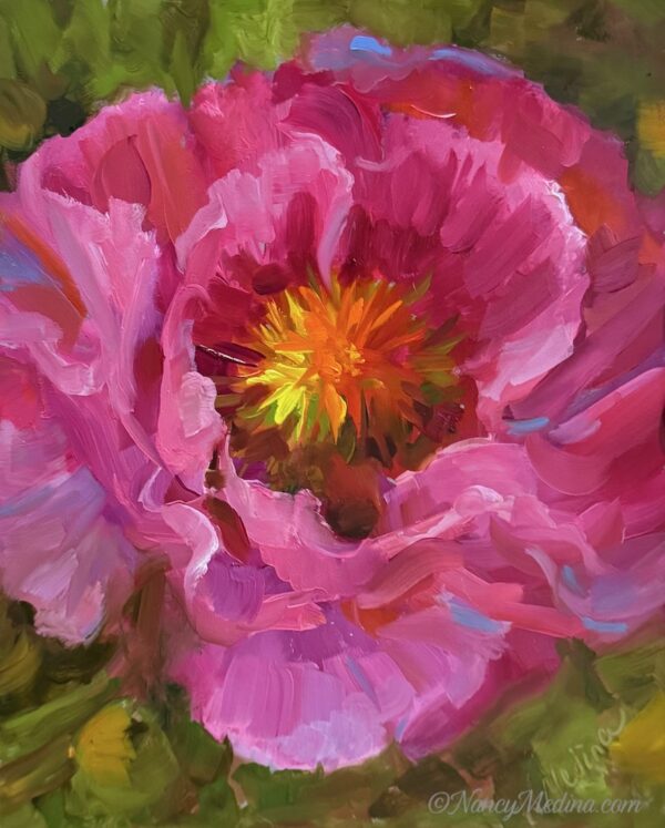 Pink Spotlight Wild Poppy 10X8