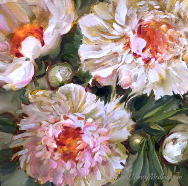 Spring Peonies in Bloom 12X12
